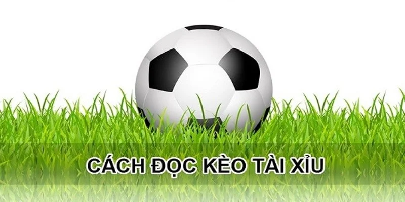 Doc-keo-tai-xiu-2-¾-nhu-the-nao-