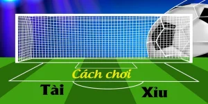 cach-tinh-tai-xiu-bong-da-3