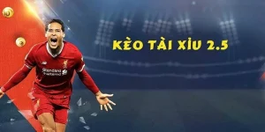 tai-xiu-2-5-va-bi-kip-ca-do-hay