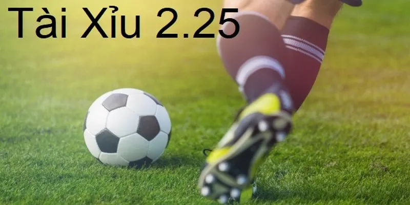 Nắm bắt thông tin để bắt kèo hiệu quả