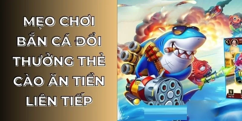 meo-hay-ban-ca-doi-thuong-the-cao-ee88