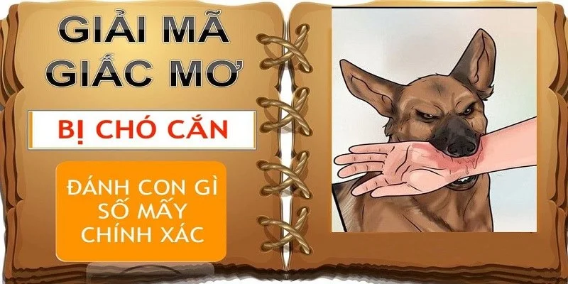 nam-mo-thay-cho-can-danh-so-may-dam-bao-trung-lo