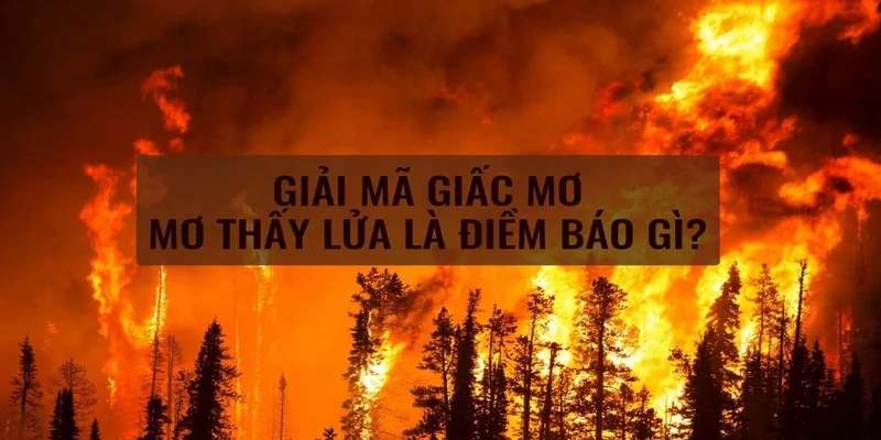 nam-mo-thay-lua-danh-so-gi-1