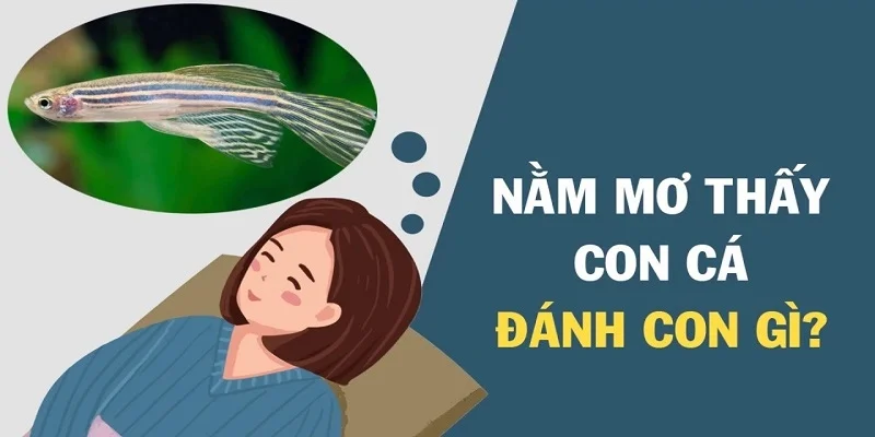 sang-to-nam-mo-thay-ca-danh-so-may-an-dam-tien-thuong