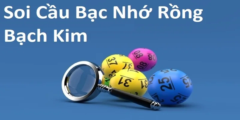 soi-cau-bac-nho-rong-bach-kim-1