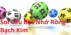 soi-cau-bac-nho-rong-bach-kim-3