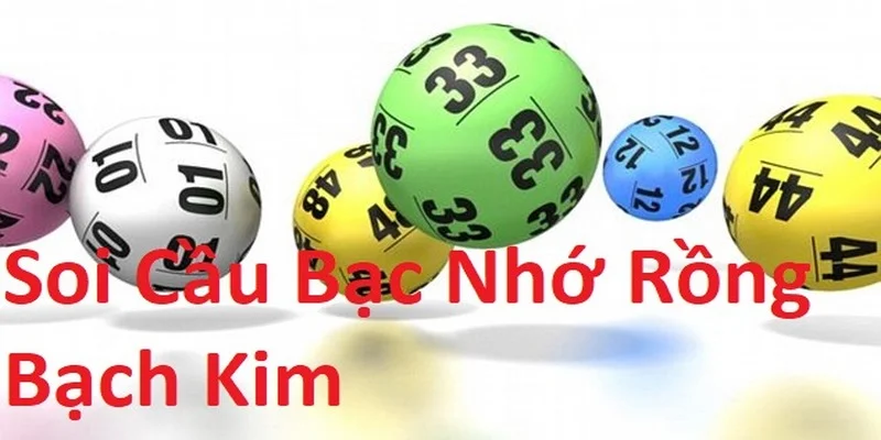 soi-cau-bac-nho-rong-bach-kim-3